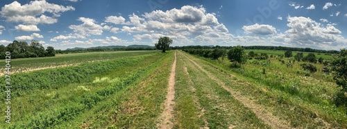 landscape with ppen meadow photo