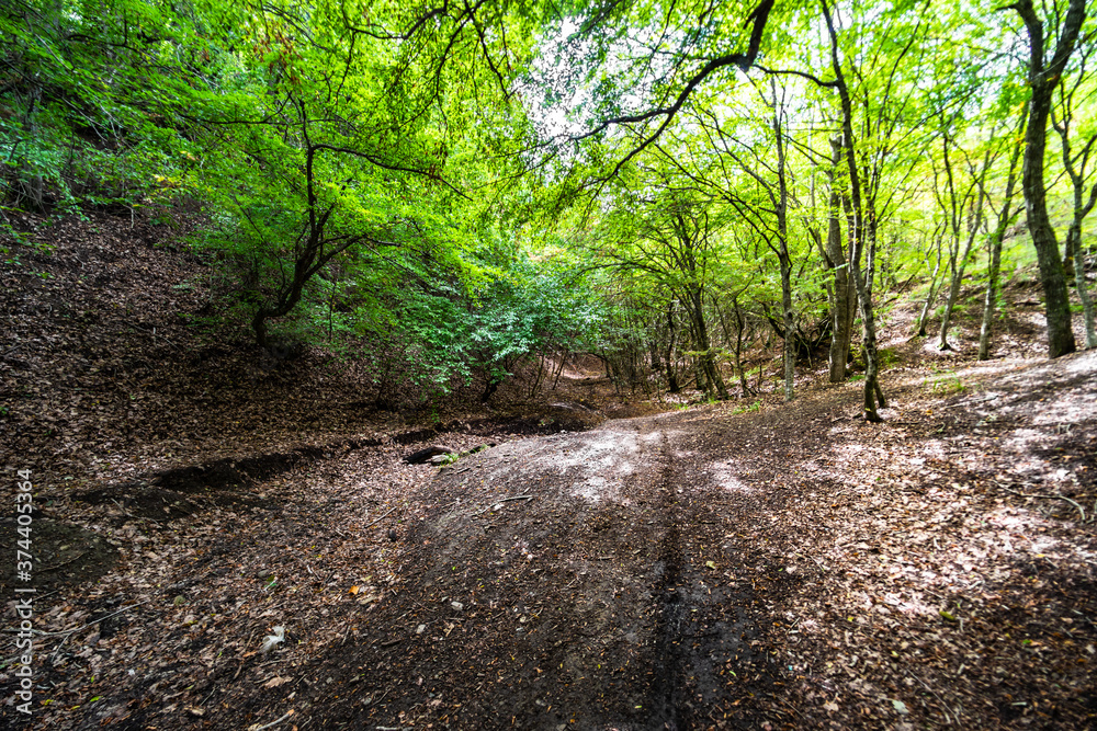 Fototapeta premium Wild landscape in Tbilisi, Georgia