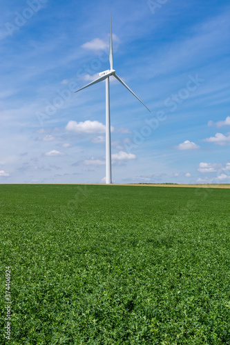 wind turbine in the middle of a wheat field