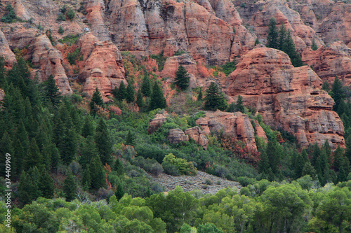 Pine Canyon near Croydon, Utah. 