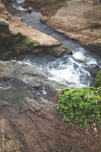 fresh water flows down dark rock to the Pacific Ocean at Alamere Falls in Point Reyes, California. photo