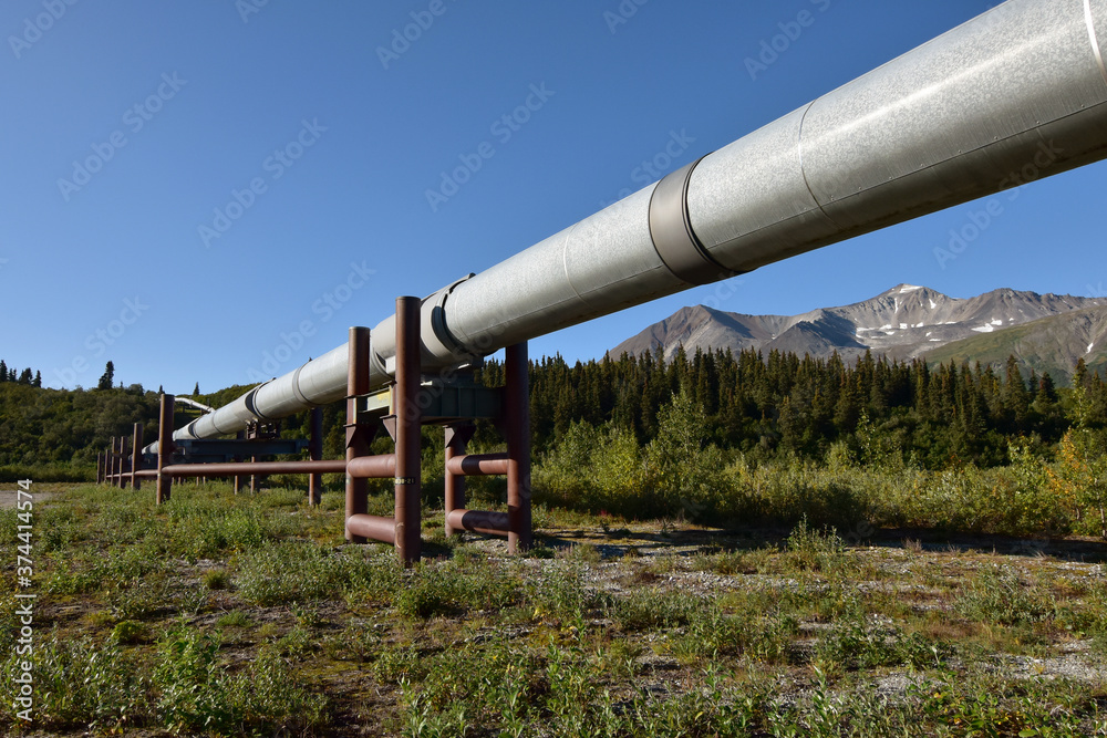 Ground-level view of the Alaska Pipeline Ground-level view of the Alaska Pipeline