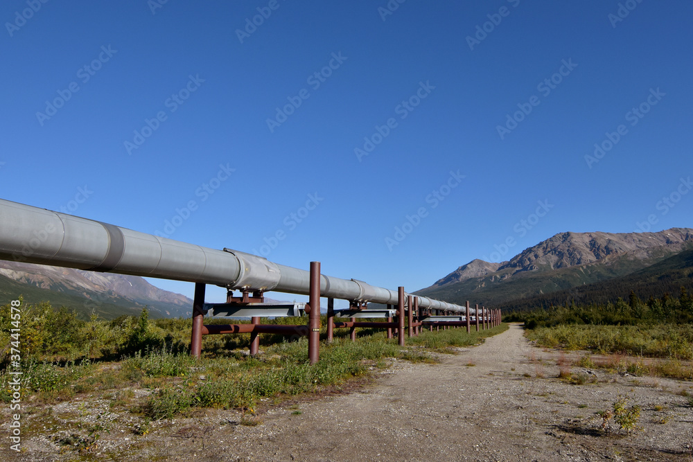 Ground-level view of the Alaska Pipeline Ground-level view of the Alaska Pipeline