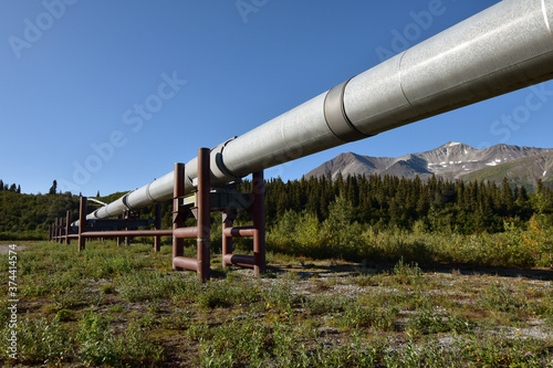 Ground-level view of the Alaska Pipeline