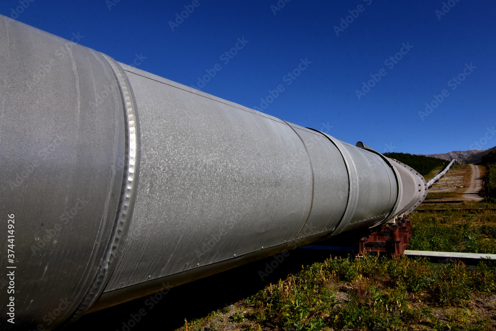 Ground-level view of the Alaska Pipeline Ground-level view of the Alaska Pipeline