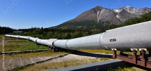 Ground-level view of the Alaska Pipeline