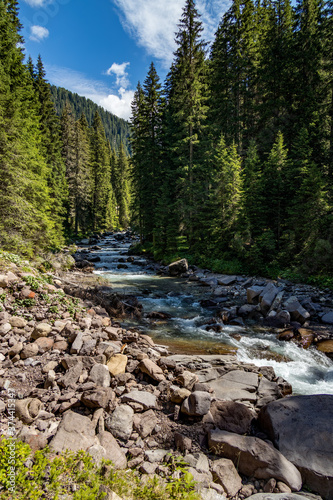 View of the river or torrent in the Natural Park of Paneveggio Pale di San Martino in Tonadico, Trentino, Italy