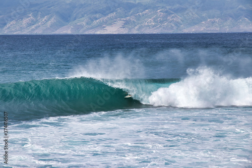 Surfer allmost completly hidden in the tubr of a wave on Maui.