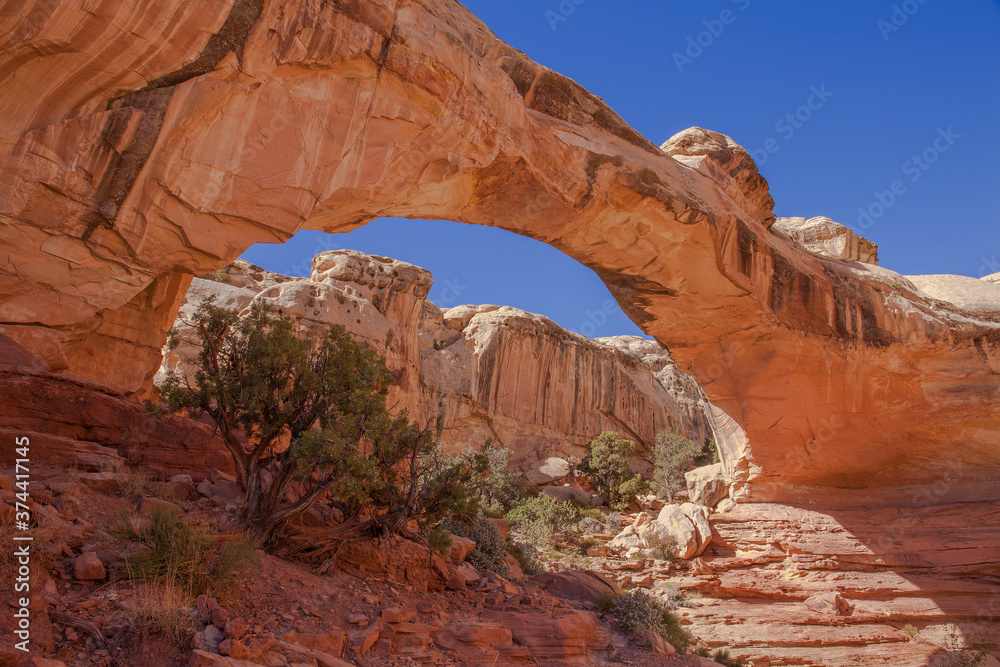Hickman Bridge, a natural arch in Capitol Reef National Park
