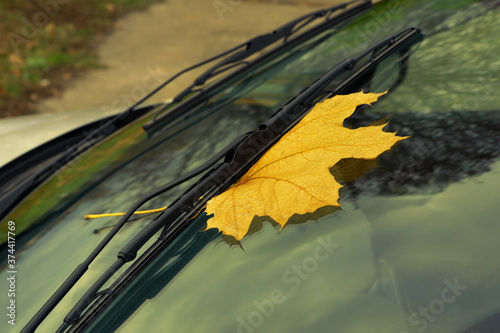 Fallen yellow autumn maple leaf pressed under windshield wiper. Autumn automibile concept. Close up. Selective focus on leaf. Vivid colors, toned photo