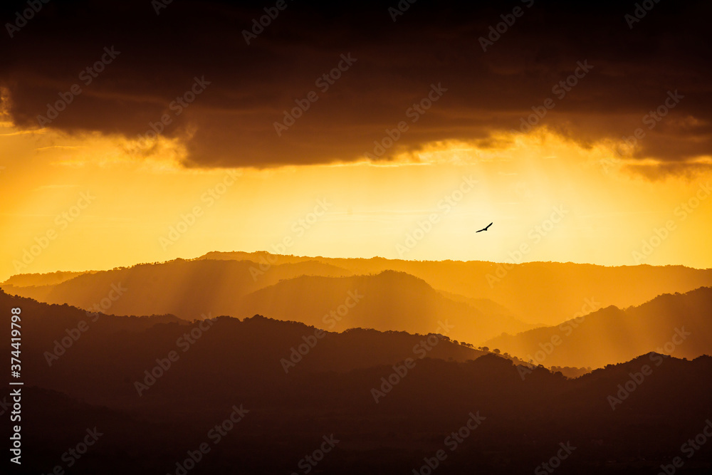 Sunlight rays through the mountains with bird silhouette at sunset in Miches, Dominican Republic