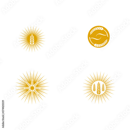Set Wheat Logo Template vector symbol
