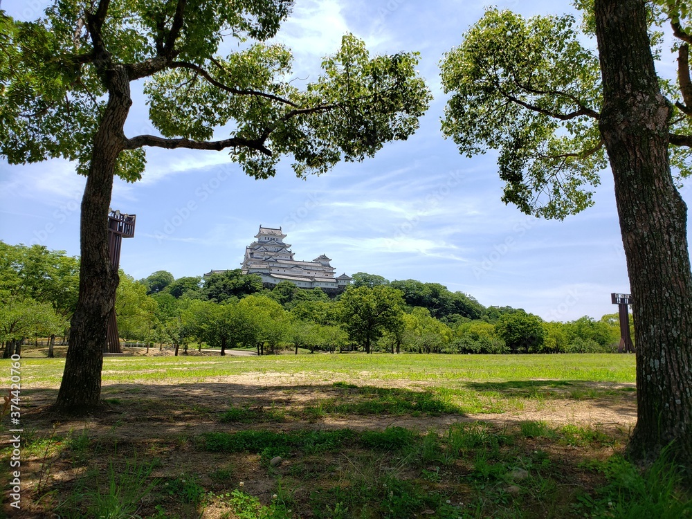 Obraz premium 日陰でのんびり