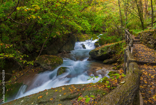 Fototapeta Naklejka Na Ścianę i Meble -  Autumn scenery of Hubei Shennongjia National Geopark Scenic Area, China
