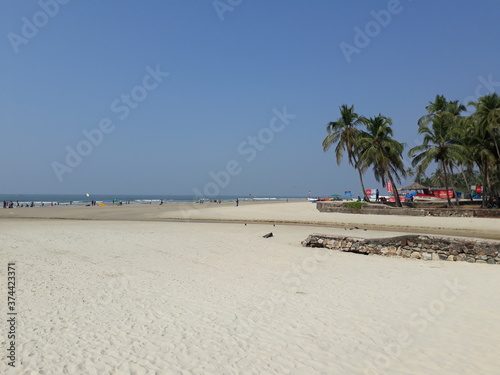 Fototapeta Naklejka Na Ścianę i Meble -  Colva beach in goa, tropical beach with palm trees and blue sky, beautiful white sand beach in goa,  Arabian sea beach in the goa. 