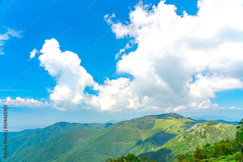 Fototapeta premium 【長野県 美ヶ原】雲上の景色が望める「王ヶ鼻」