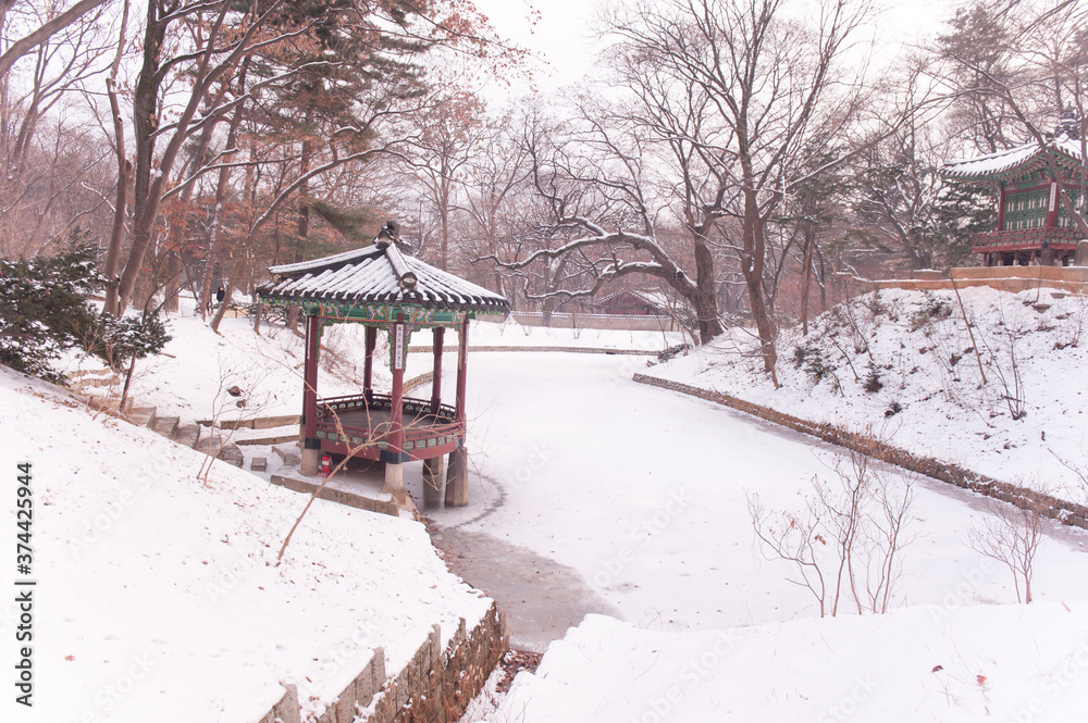 The beautiful snowy forest and ice pond at park. The beautiful snowy forest and ice pond at park.