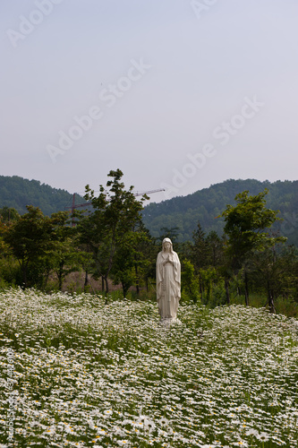 Religion pray fath,Virgine Mary statue. photo