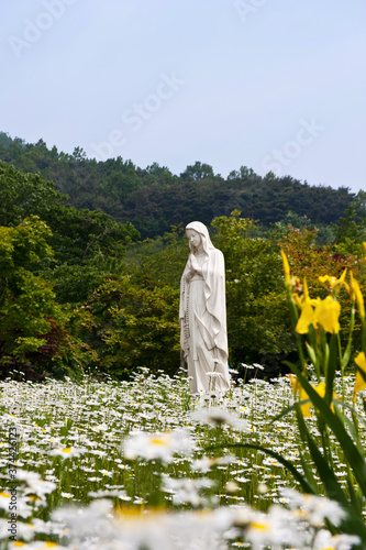 Religion pray fath,Virgine Mary statue. photo