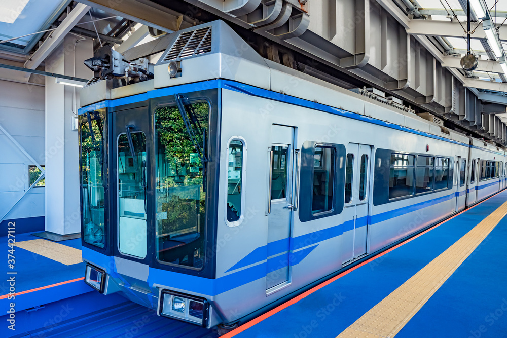 Japan. Train close-up. Travel to Tokyo by rail. Transport infrastructure of the Japanese capital. The train is at the platform. Urban transport in Japan. Travel to East Asia.