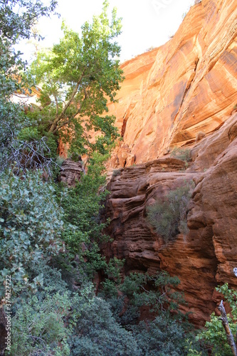 background photo of sandstone rock cliff in Zion National Park, Utah