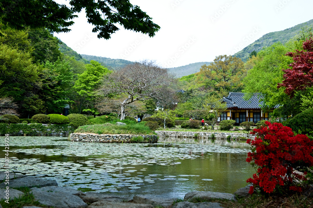 Fototapeta premium The beautiful landscape of green garden,pond and forest