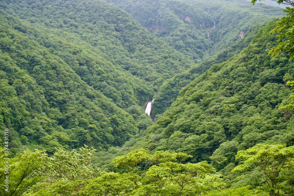 The view of Japanese waterfall and green mountain in summer.