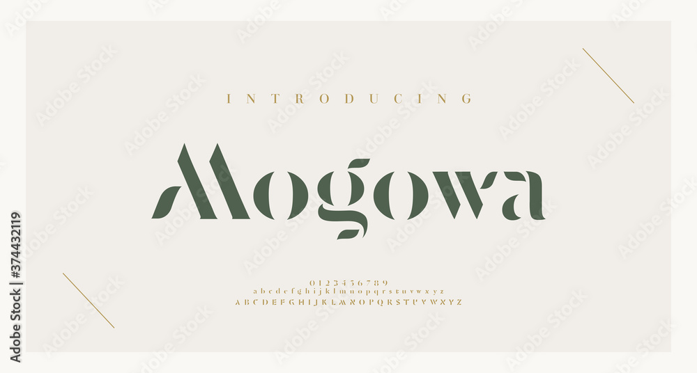 Elegant alphabet letters font and number. Classic Lettering Minimal Fashion Designs. Typography modern serif fonts and numbers. vector illustration