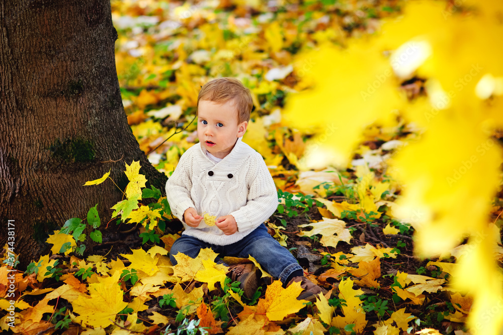 Baby in the fall in nature. A child in an autumn Park. Cute boy playing with maple leaves in the open air. Baby in the fall in nature. A child in an autumn Park. Cute boy playing with maple leaves in the open air.