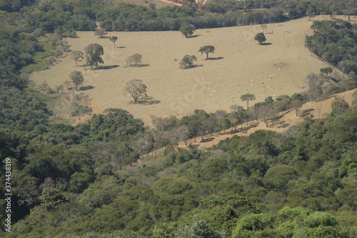 Dry Grass in the Mountains in Brazil photo