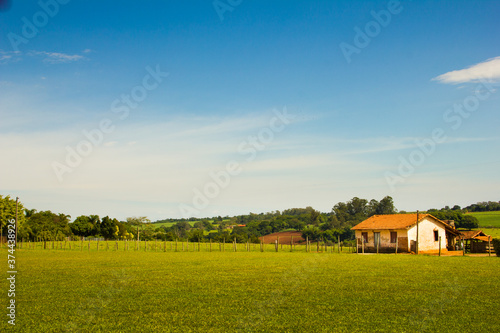 rural landscape with a house and field