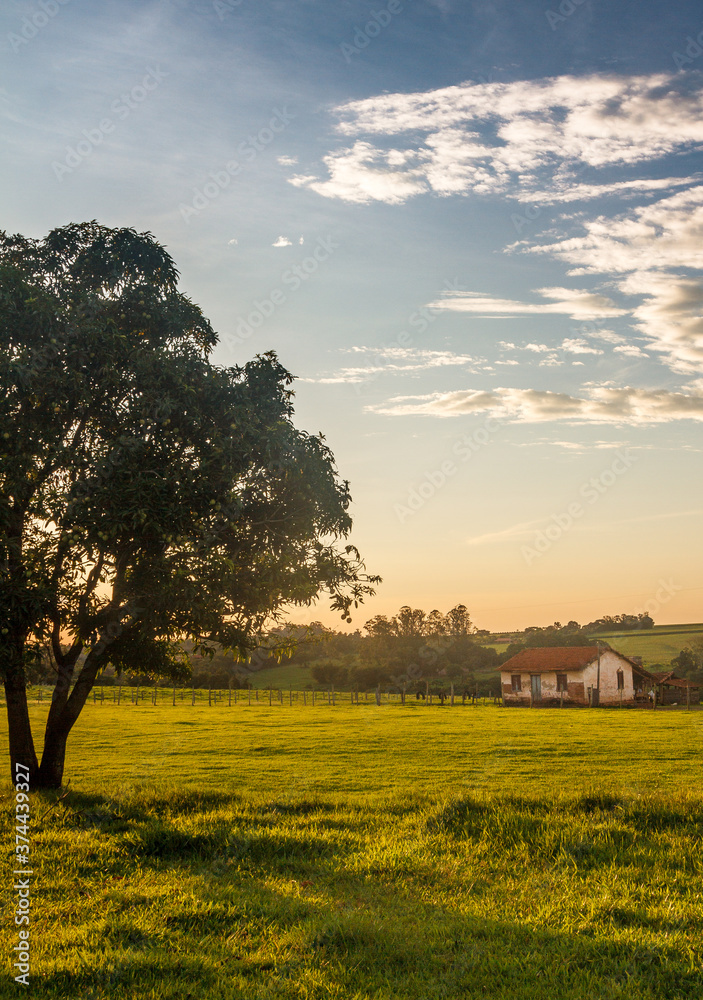 sunset over the countryside