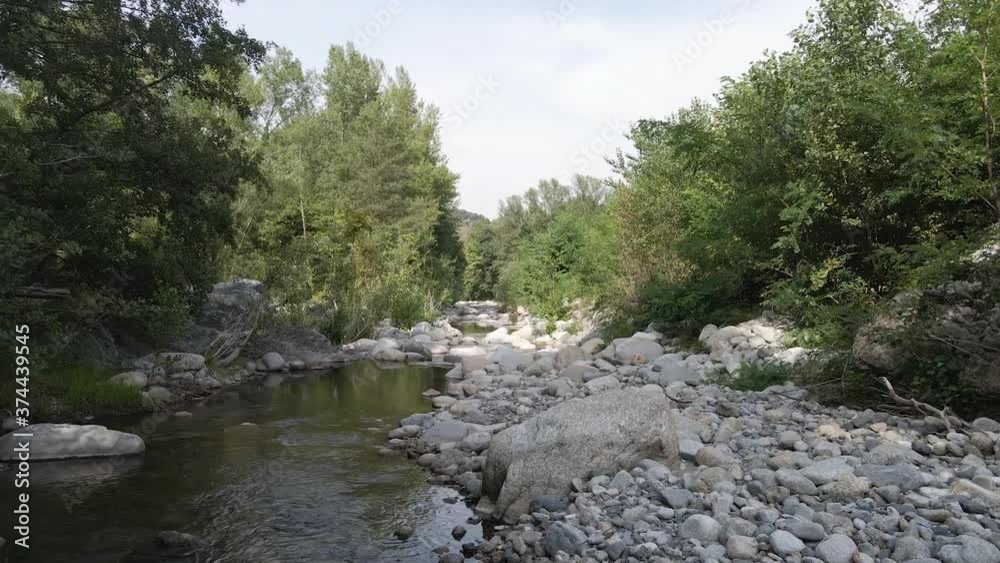 river in the forest river in the forest