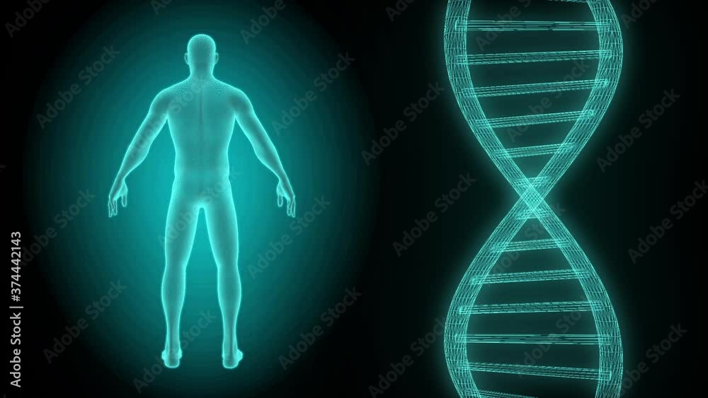 corona virus disease flu loop animation corona virus disease flu loop animation