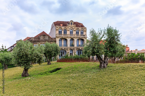 Olive trees on Praca de Lisboa hill with facades of traditional Portuguese houses in Porto, Portugal