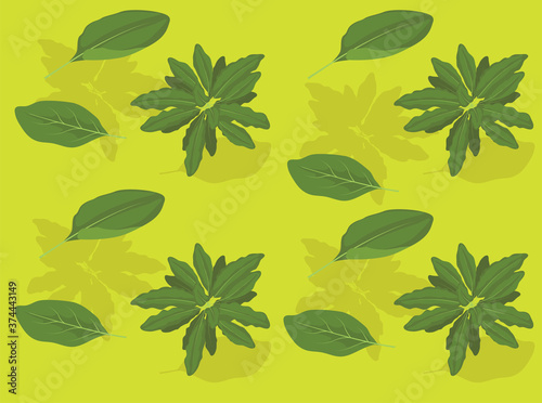 Vegetable Sorrel Cartoon Vector Illustration Seamless Background-01