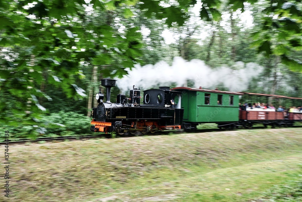 Fototapeta premium Narrow-gauge railway in an amusement park. Photo with a toy effect.
