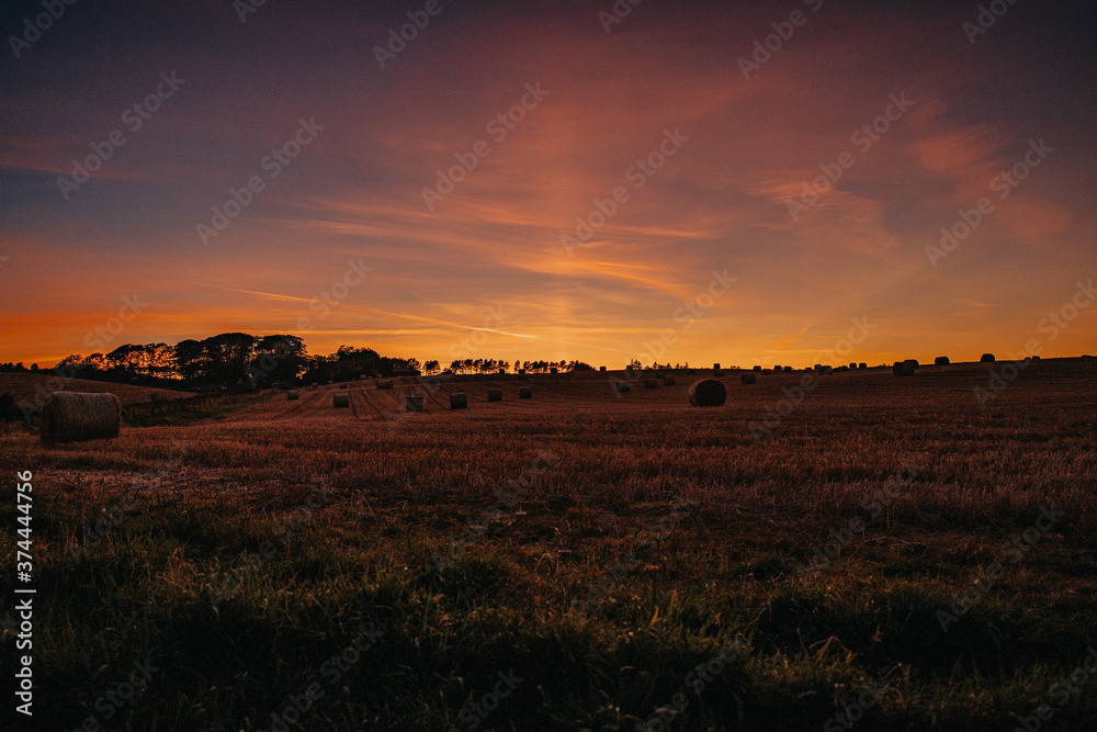 sunset over a field