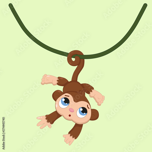 Cartoon little brown monkey on a vine and a solid background