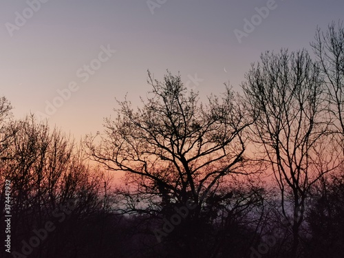 Levée de soleil (Bonnelles)