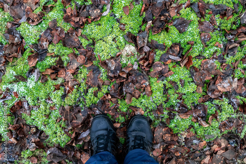 Fototapeta premium Male feet in blue pants and gray sports sneakers on the autumn asphalt with yellow fallen leaves and green moss. First-person view.