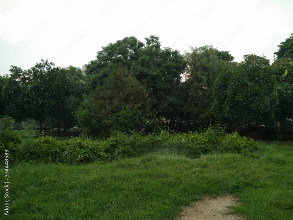 A picture of garden with selected focus A picture of garden with selected focus