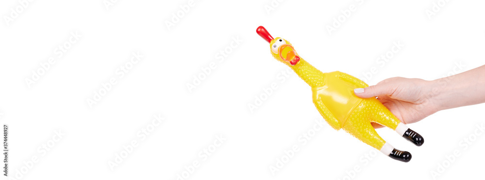 Hand with funny rubber toy of chicken, screaming opened mouth. Isolated on white background, copy space template, banner. Hand with funny rubber toy of chicken, screaming opened mouth. Isolated on white background, copy space template, banner.