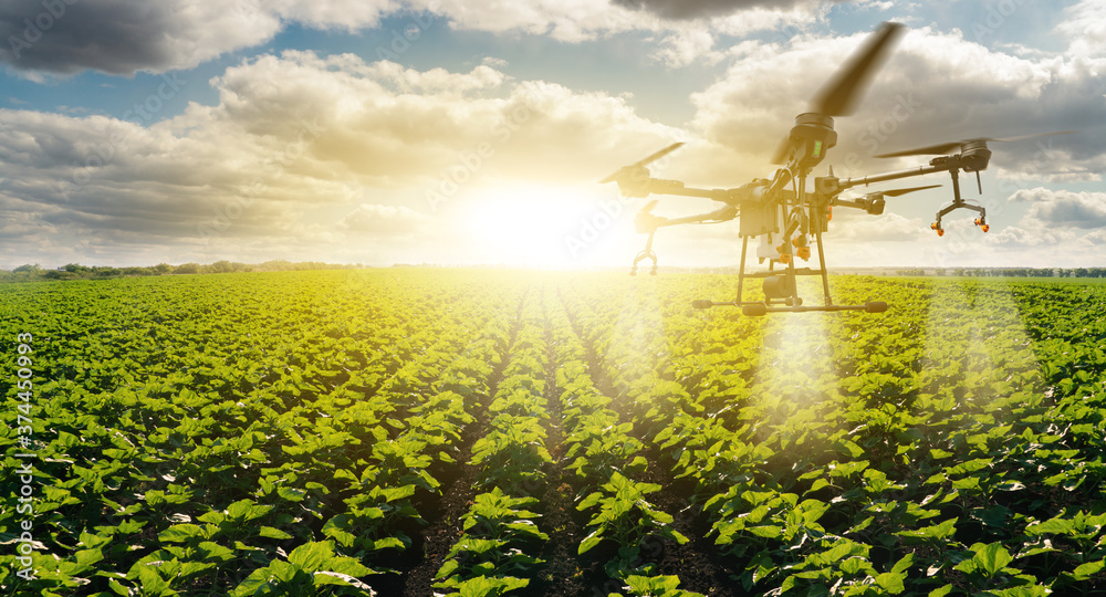 Drone sprayer flies over the agricultural field. Smart farming and  precision agriculture Photos | Adobe Stock