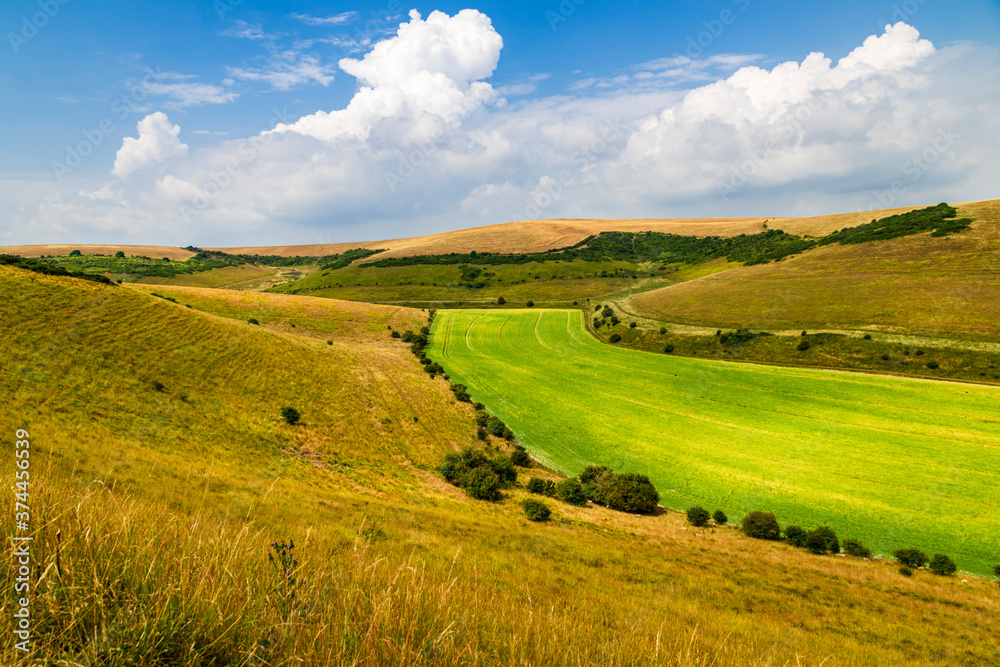 Fototapeta premium View of the castle hill nature reserve nested within the south downs national park in east Sussex south east England