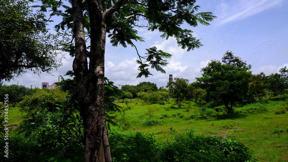 Fototapeta premium closeup view of green landscape