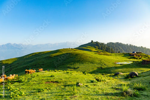 lush green mountain line and meadows landscape from the top hill with clear blue sky and forest 