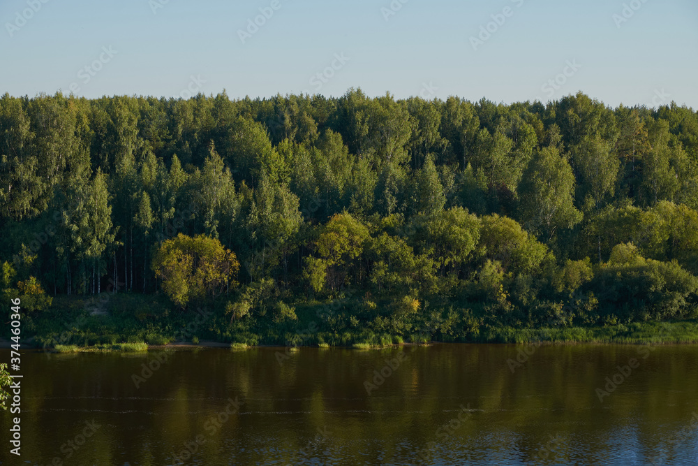 Autumn forest river water landscape. Forest river in autumn. Autumn forest river view. Forest river water in autumn season Autumn forest river water landscape. Forest river in autumn. Autumn forest river view. Forest river water in autumn season