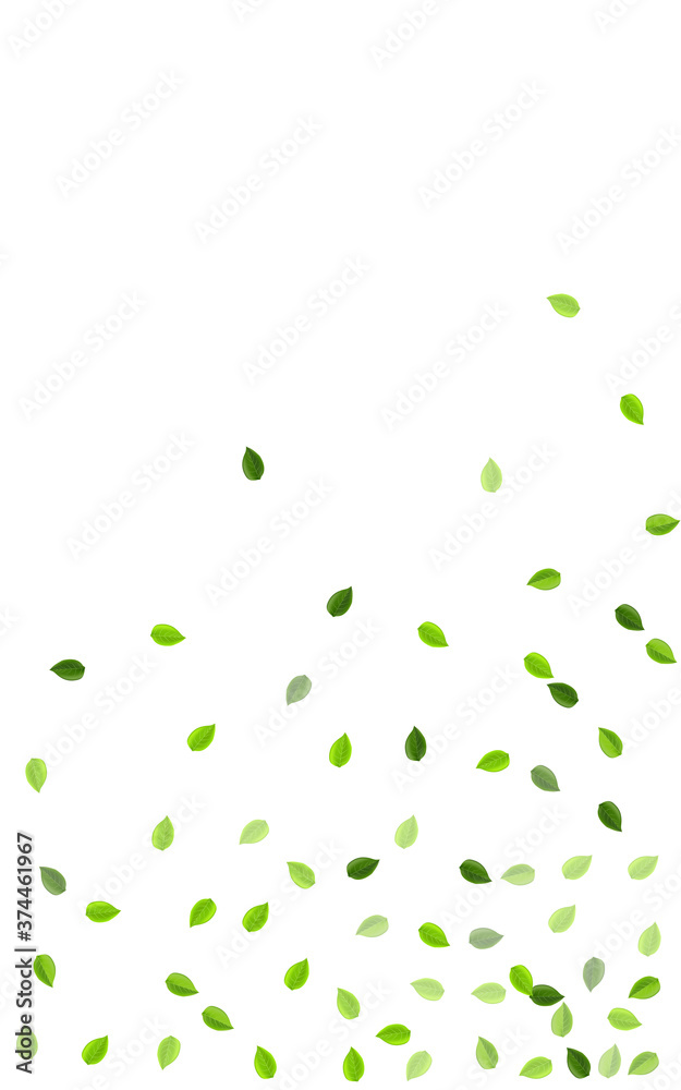 Olive Leaf Forest Vector Template. Motion Foliage Olive Leaf Forest Vector Template. Motion Foliage