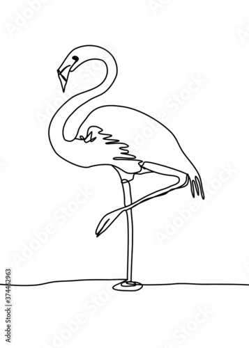 drawing line, the egret is standing on one leg